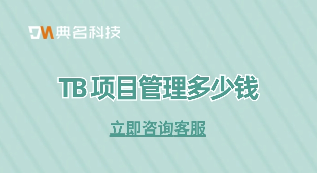 TB 项目管理多少钱