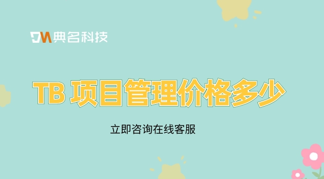 TB 项目管理价格多少
