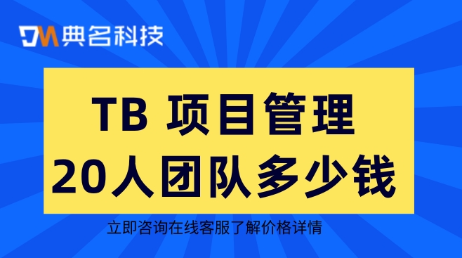 TB 项目管理20人团队多少钱