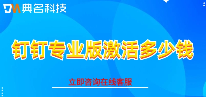 钉钉专业版激活多少钱
