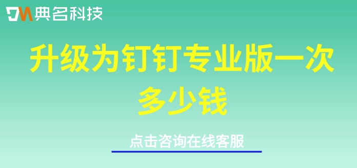升级为钉钉专业版一次多少钱