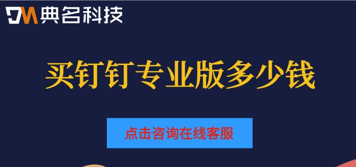 专业版钉钉购买：买钉钉专业版多少钱