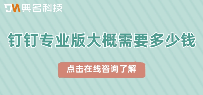 买钉钉专业版：钉钉专业版大概需要多少钱