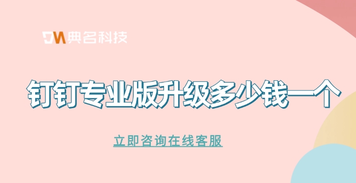 钉钉专业版升级多少钱一个