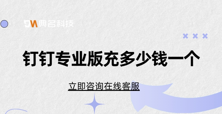 钉钉专业版充多少钱一个