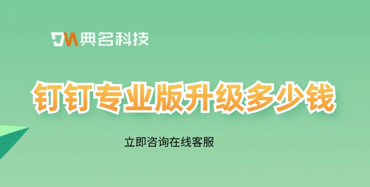 钉钉版本：钉钉专业版升级多少钱