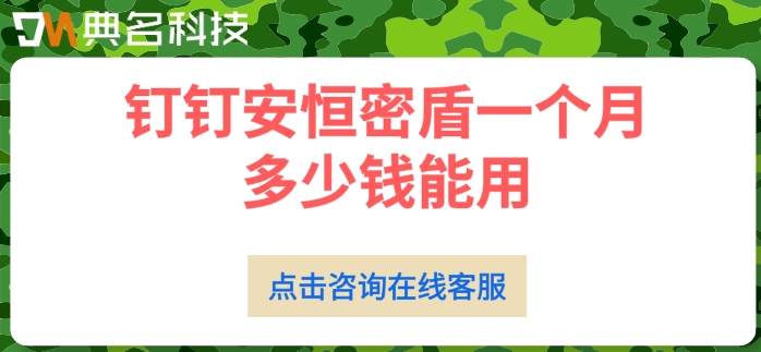 钉钉安恒密盾一个月多少钱能用