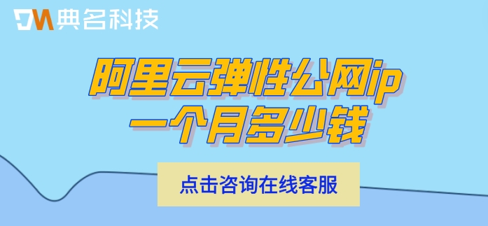 阿里云弹性公网ip一个月多少钱