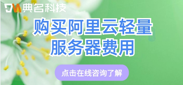 轻量型服务器价格:购买阿里云轻量服务器费用
