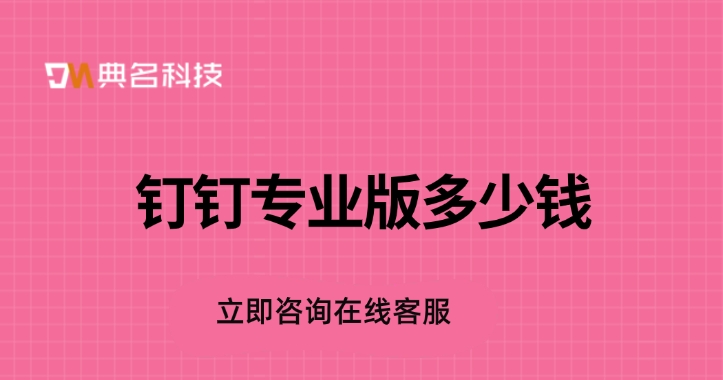 钉钉专业版服务商：钉钉专业版多少钱